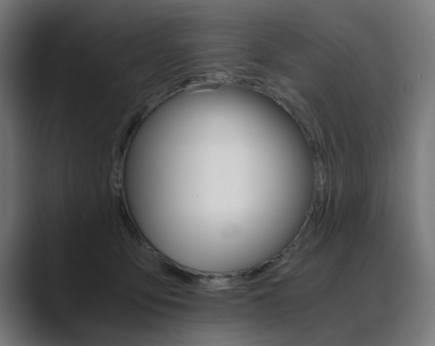 X0000089970419200706291108