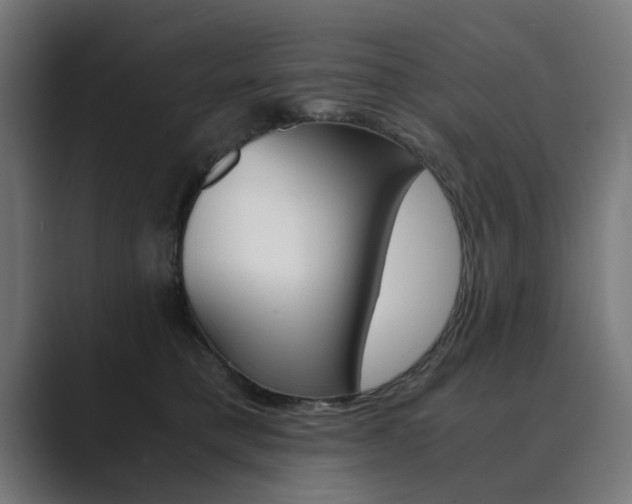 X0000089970421200706291108