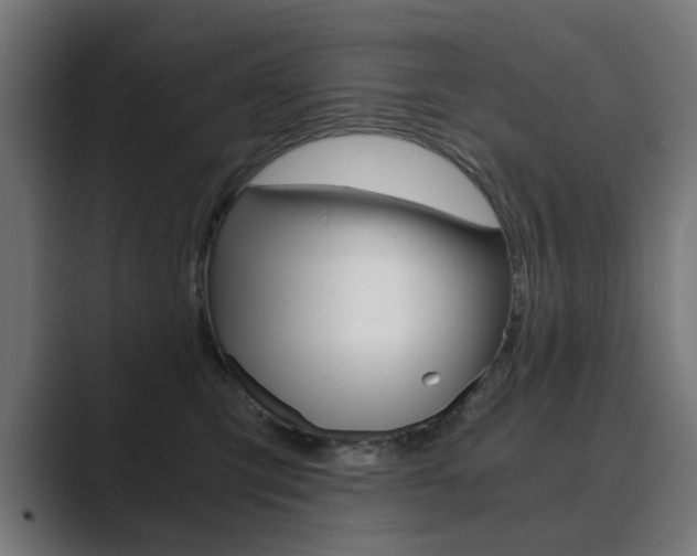 X0000089970423200706291108