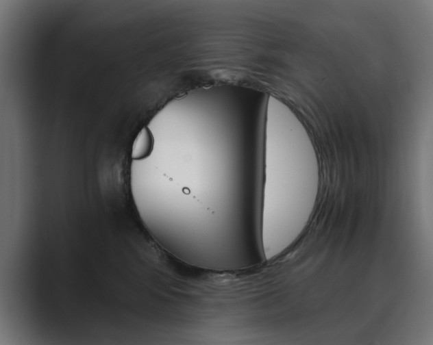 X0000089970424200706291108