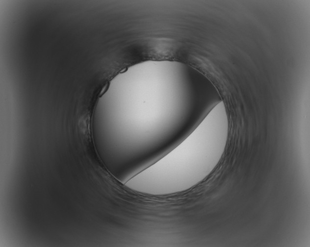 X0000089970425200706291108