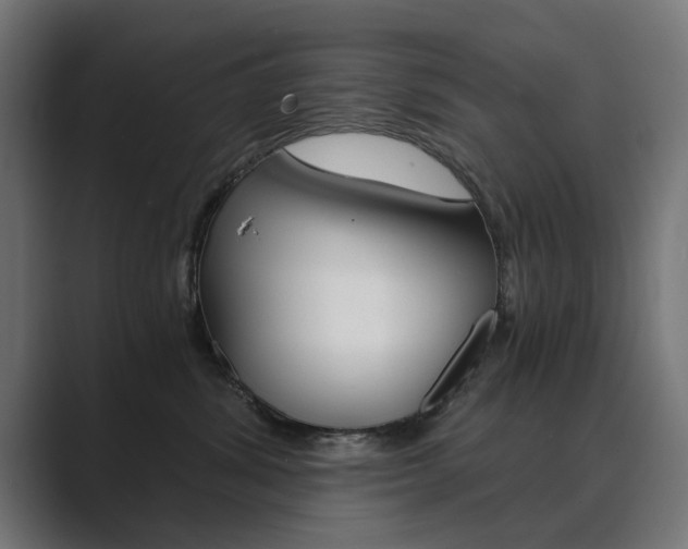 X0000089970428200706291108
