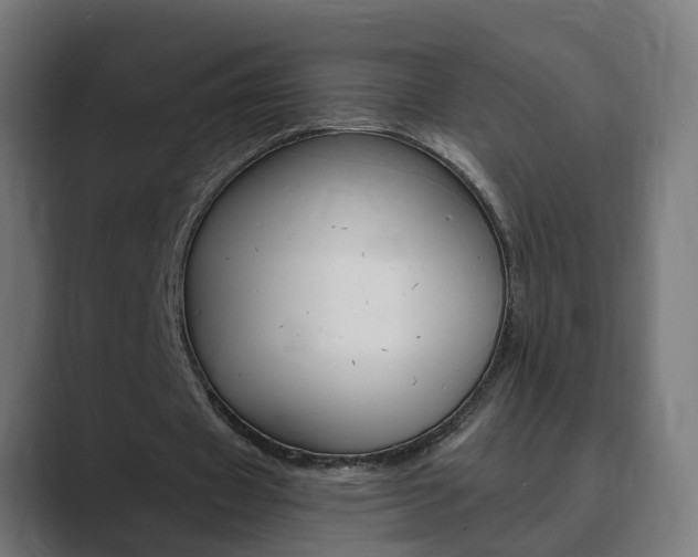 X0000089970433200706291107