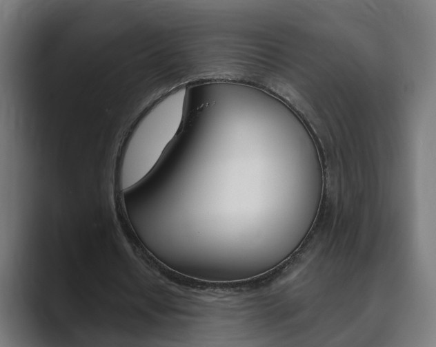 X0000089970434200706291107