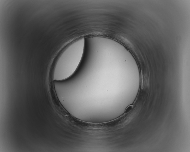 X0000089970435200706291107