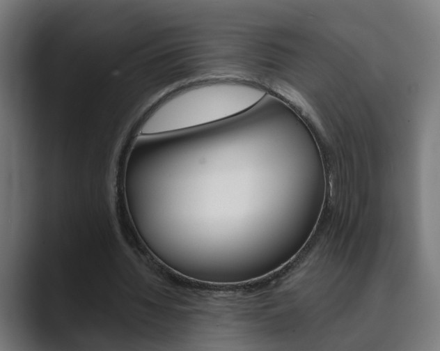 X0000089970436200706291107