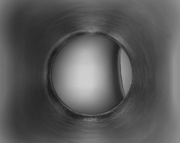X0000089970440200706291107