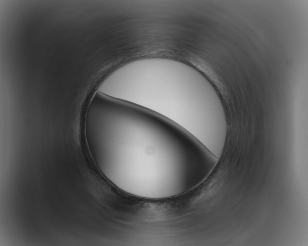 X0000089970442200706291107
