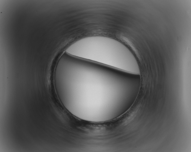 X0000089970443200706291107