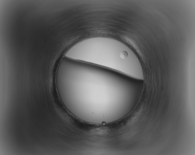 X0000089970447200706291107