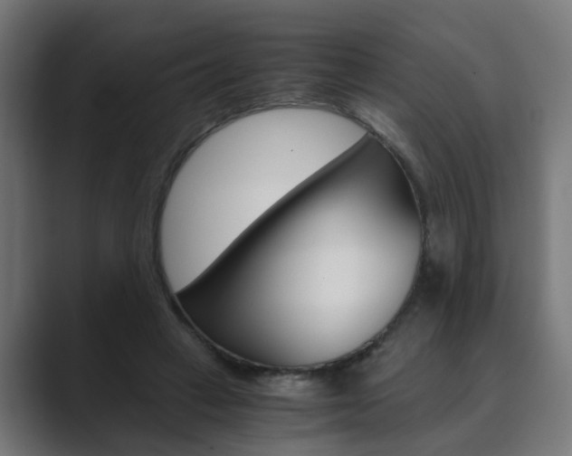X0000089970449200706291107