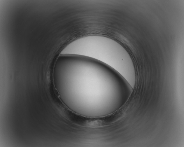 X0000089970452200706291107