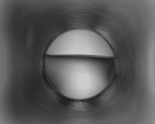 X0000089970453200706291107