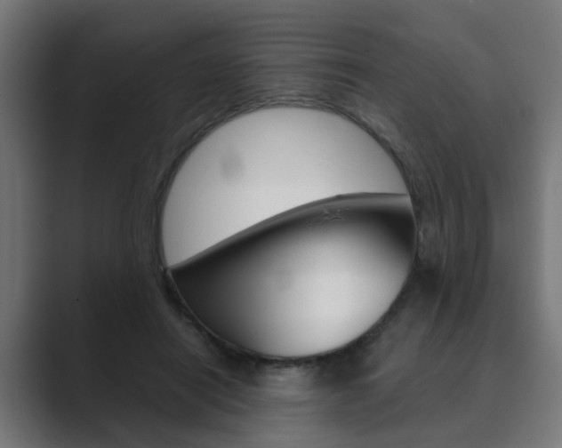 X0000089970454200706291107
