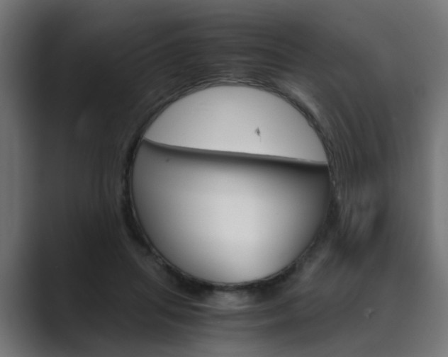 X0000089970455200706291107