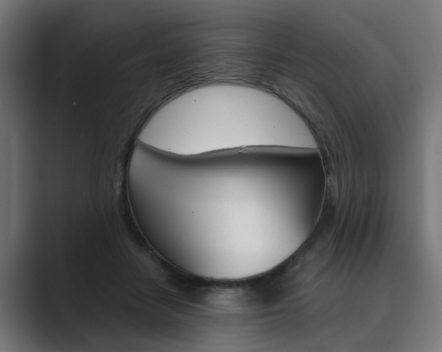 X0000089970458200706291107