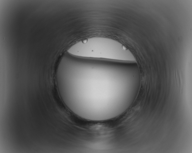 X0000089970460200706291107
