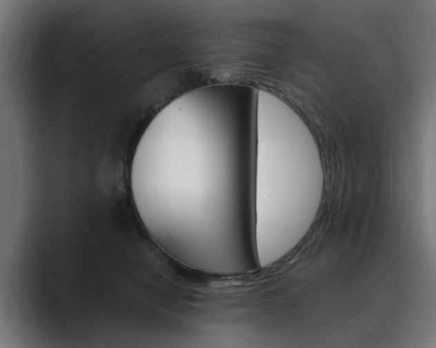 X0000089970470200706291108