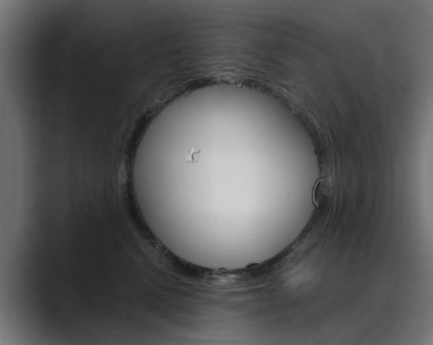 X0000089970472200706291108