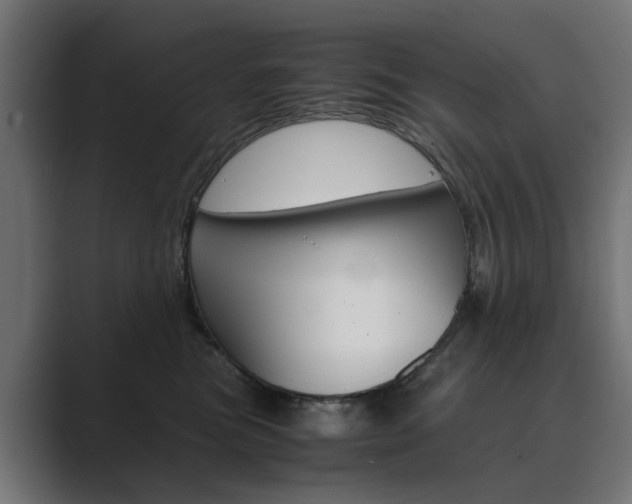 X0000089970473200706291108