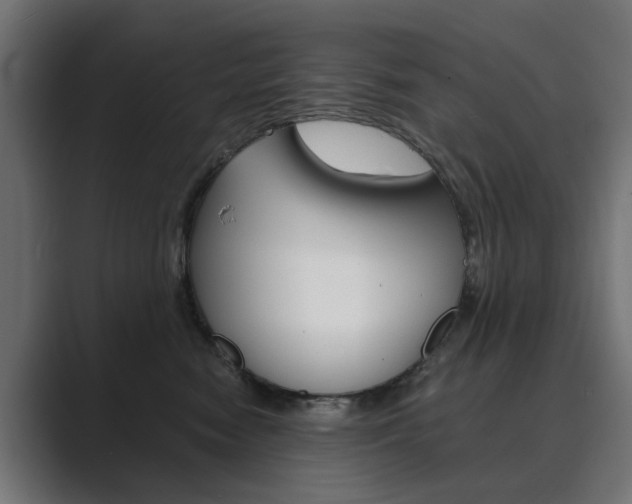X0000089970474200706291108