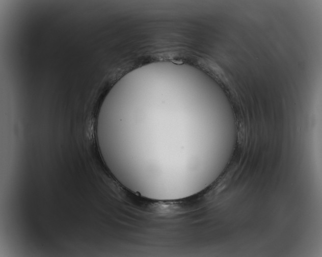 X0000089970477200706291108