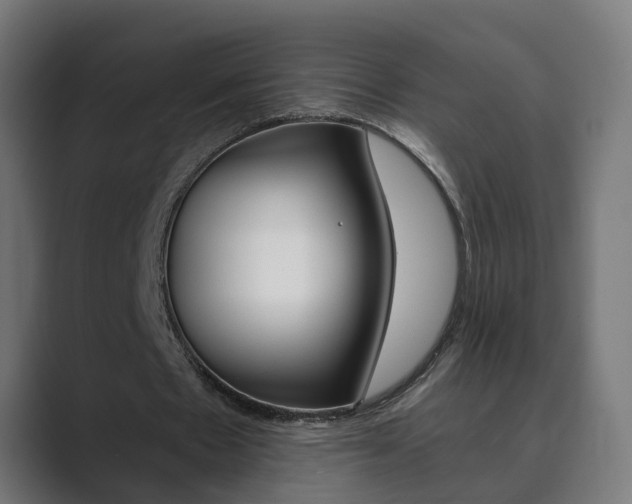 X0000089970481200706291107