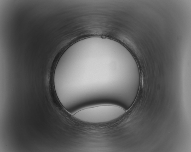 X0000089970483200706291107