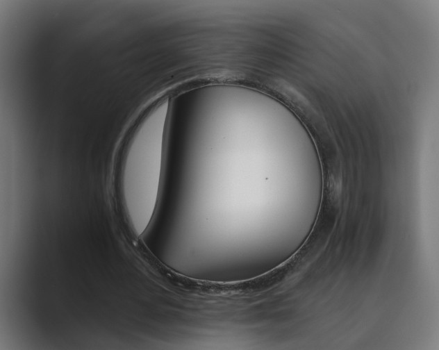 X0000089970484200706291107