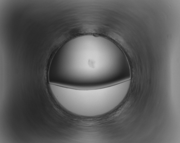 X0000089970489200706291107