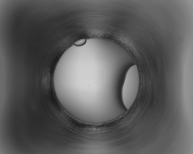 X0000089970498200706291107
