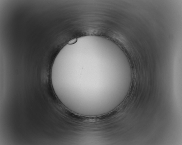 X0000089970499200706291107