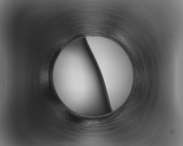 X0000089970500200706291107