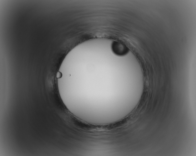 X0000089970503200706291107