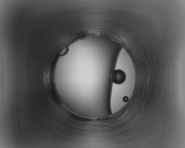 X0000089970504200706291107