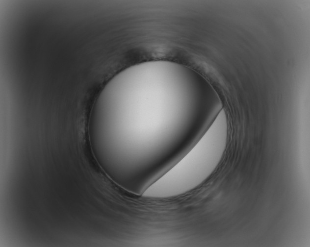X0000089970509200706291107