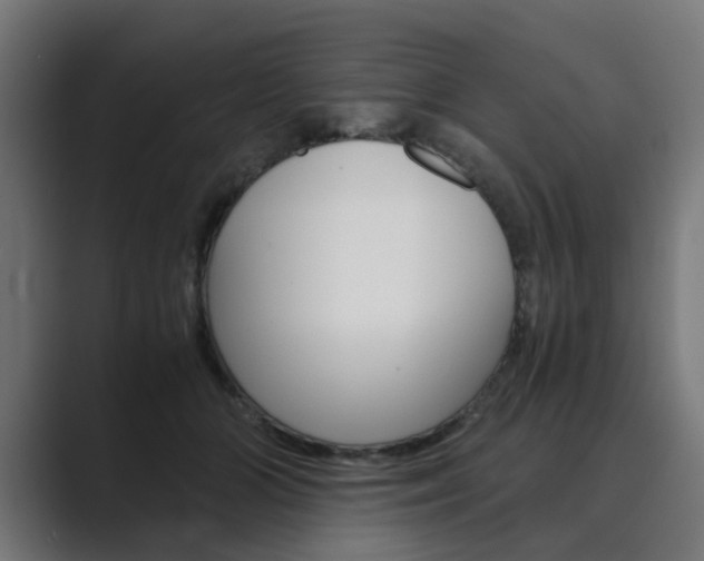 X0000089970510200706291107
