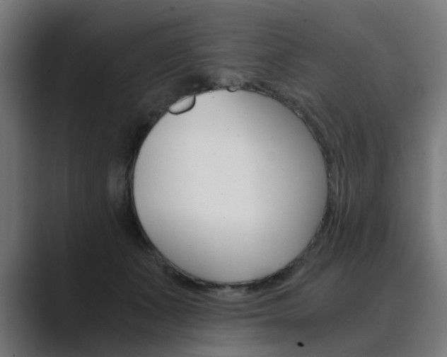 X0000089970511200706291107