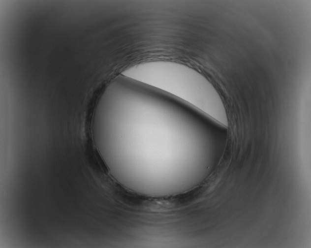 X0000089970512200706291107