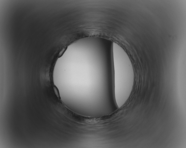 X0000089970516200706291107