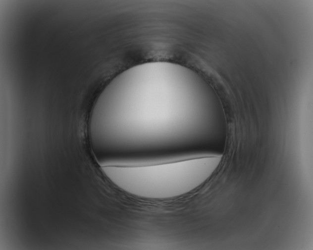 X0000089970517200706291107