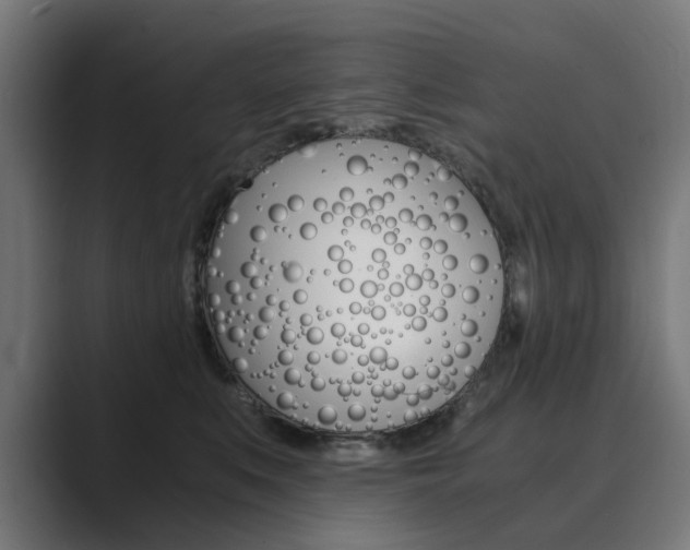 X0000089970519200706291107