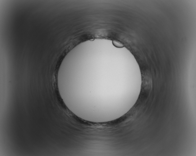 X0000089970523200706291107