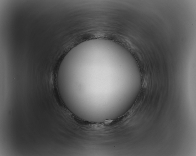 X0000089970524200706291107