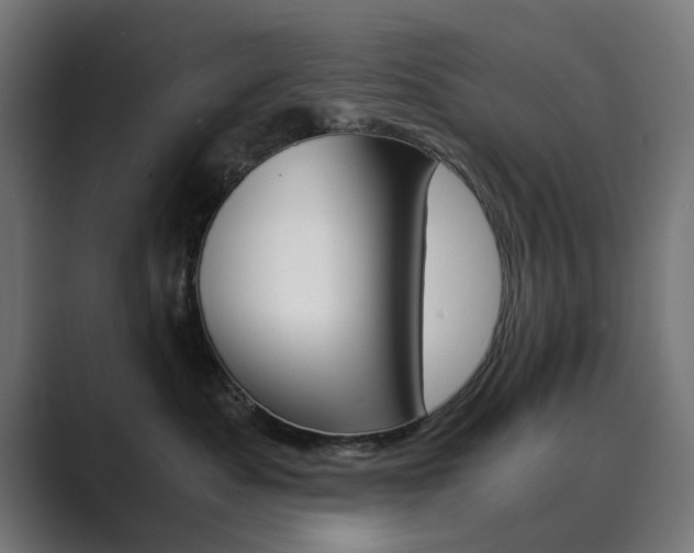 X0000089970525200706291107