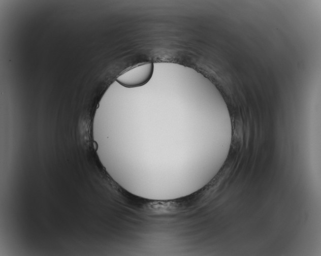 X0000089970526200706291107