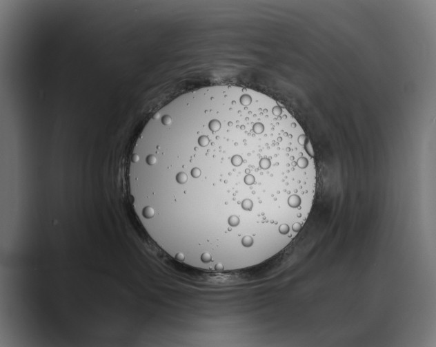 X0000089970527200706291107