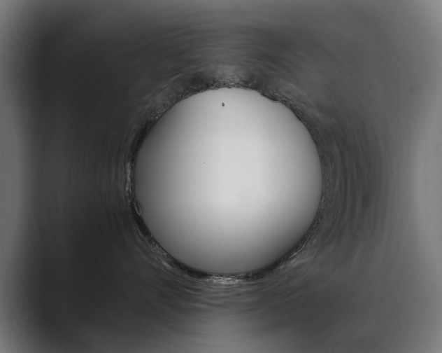X0000089970528200706291107