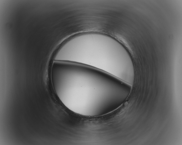 X0000089970532200706291106