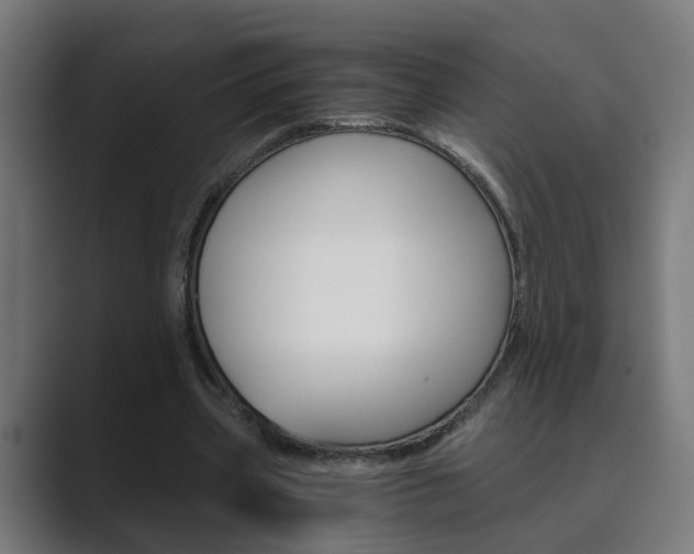 X0000089970533200706291106
